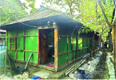 Image of মো: মামুন হোসেন